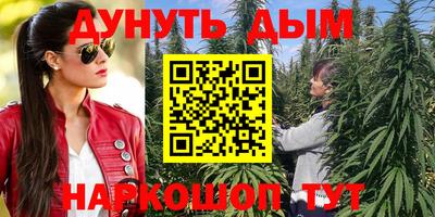 крисы Кимры