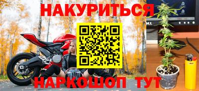 крисы Кимры