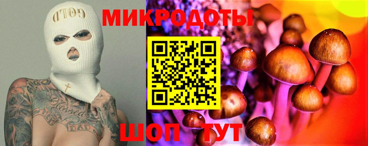 Псилоцибиновые грибы Cubensis  Вход с VPN  Коряжма 